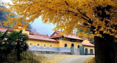大洪山风景区1.jpg