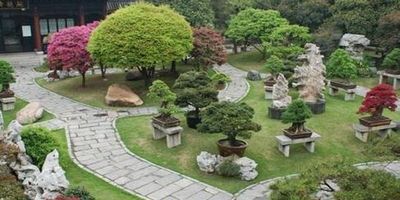 武汉盆景奇石根雕艺术馆