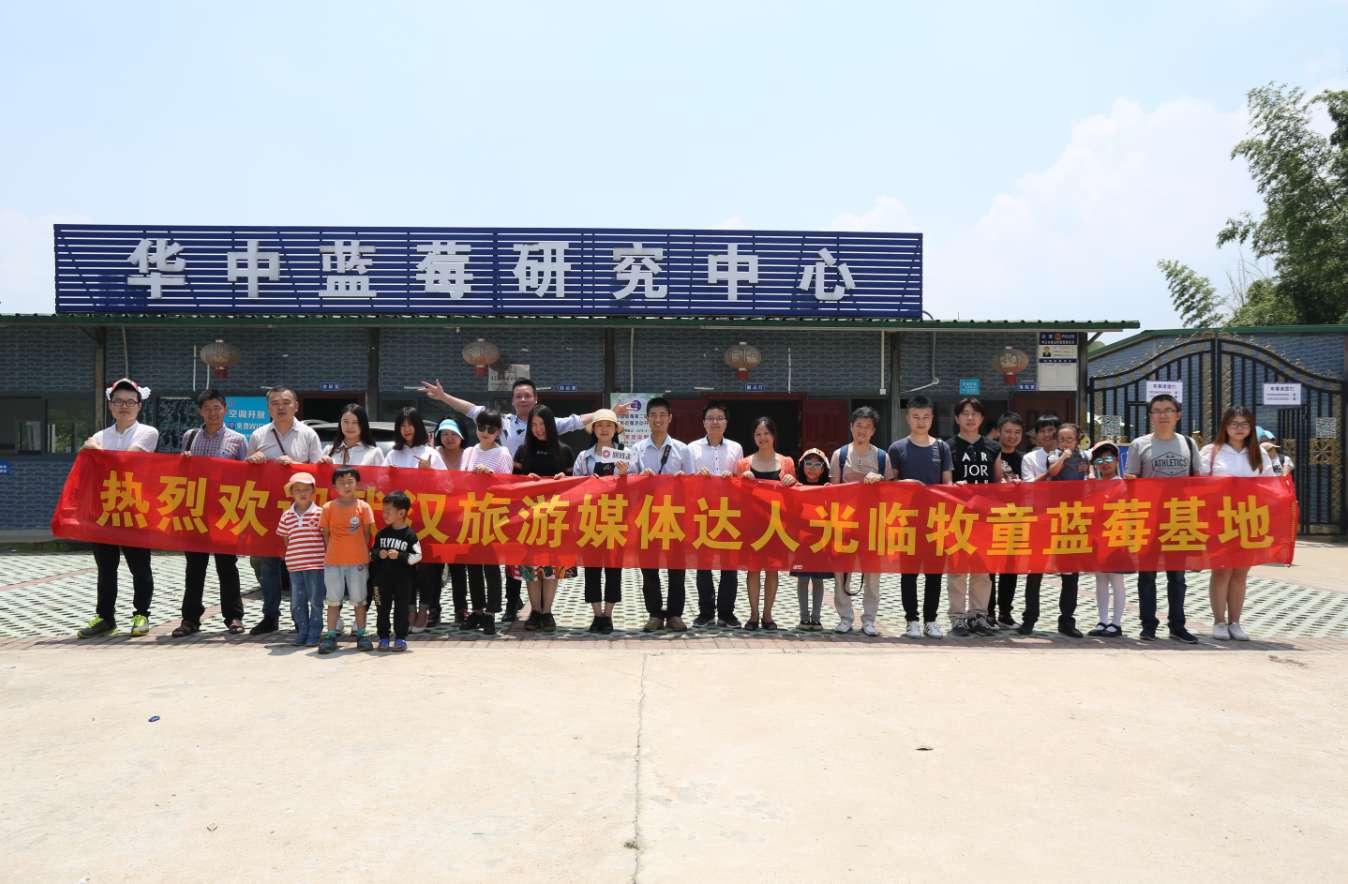 30多位武汉旅游媒体达人齐聚木兰湖畔为牧童蓝莓“点赞”