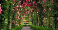 木兰玫瑰园