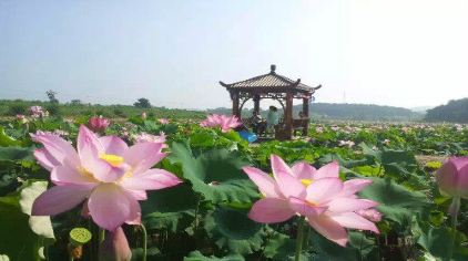 华缘农场1.jpg